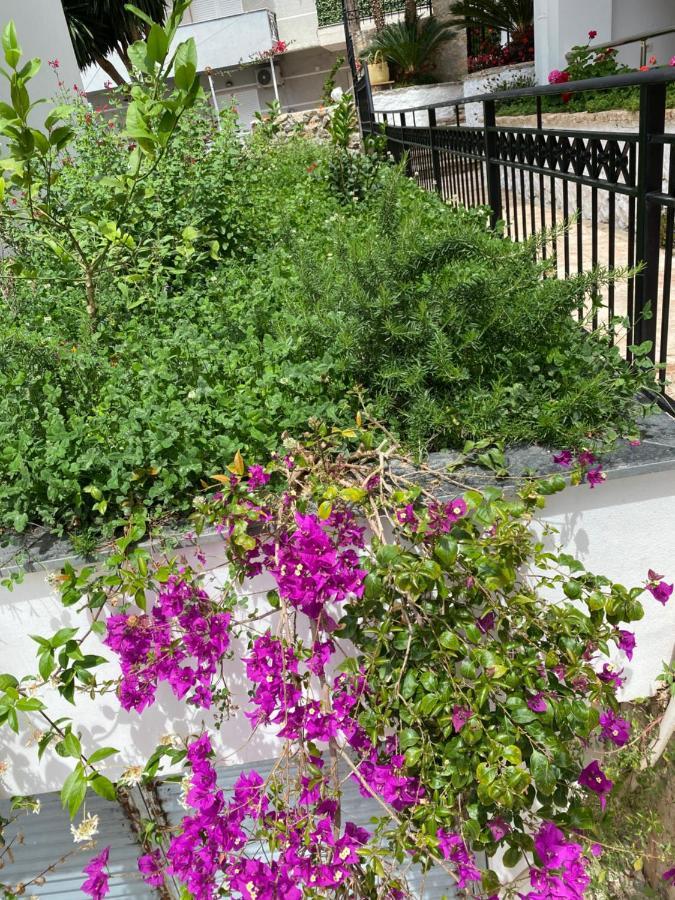 Apartamente Berti'S Garden Sarandë Exterior foto
